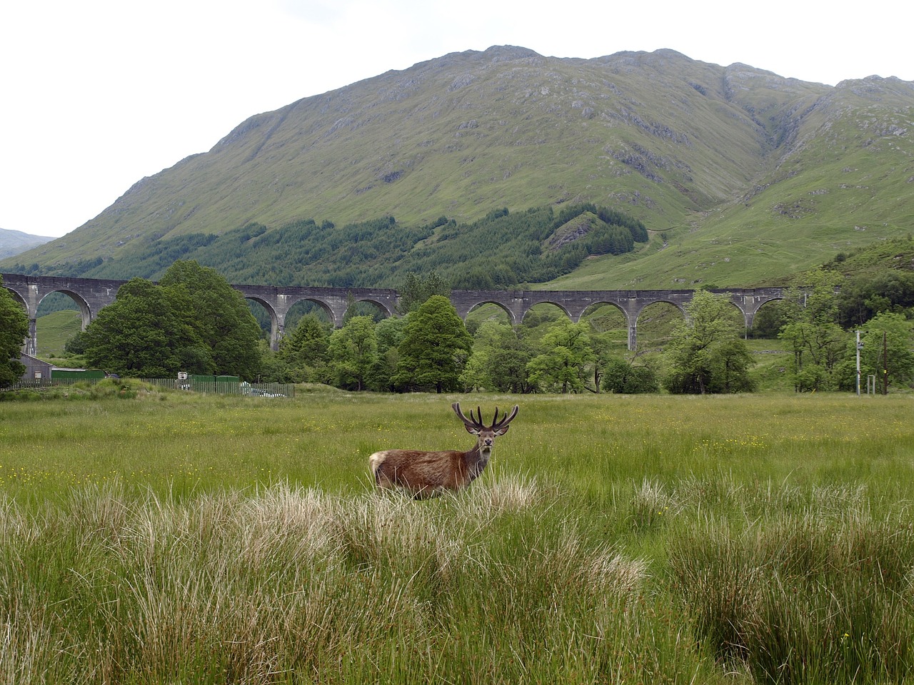 glennfinnan-974106_1280